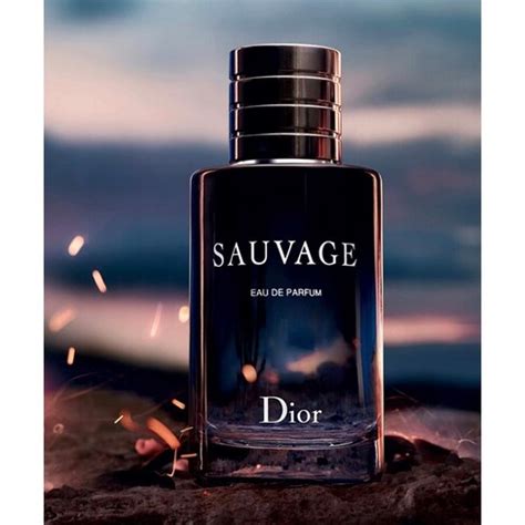 old sauvage dior|dior sauvage clearance.